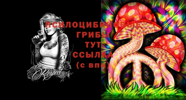 герыч Алзамай