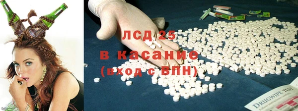 стаф Алексин
