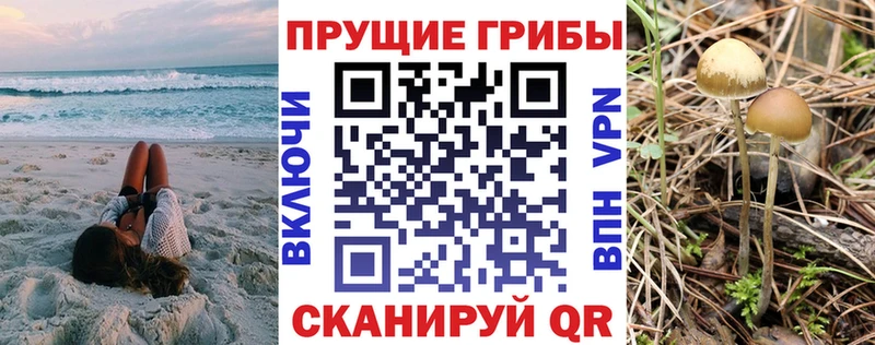 Галлюциногенные грибы прущие грибы  хочу   Карабаш 